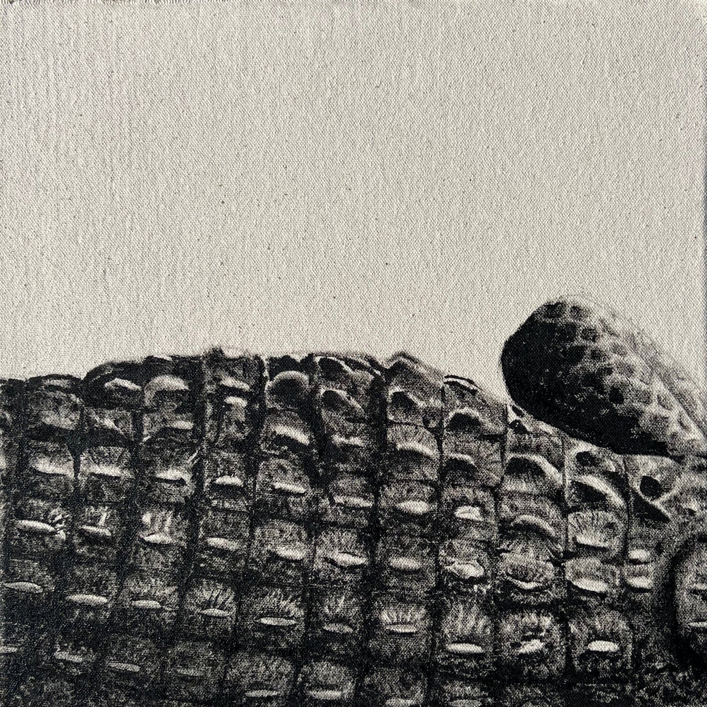 Back - Detail Study