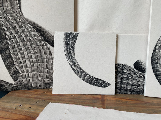 Tail - Detail Study