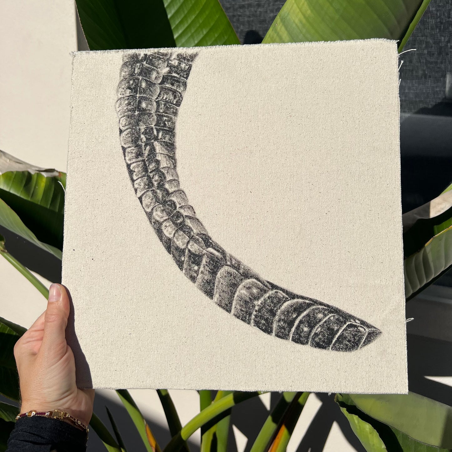 Tail - Detail Study