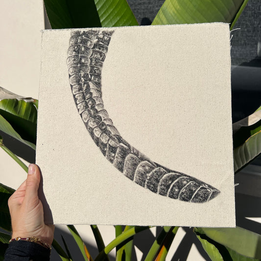 Tail - Detail Study