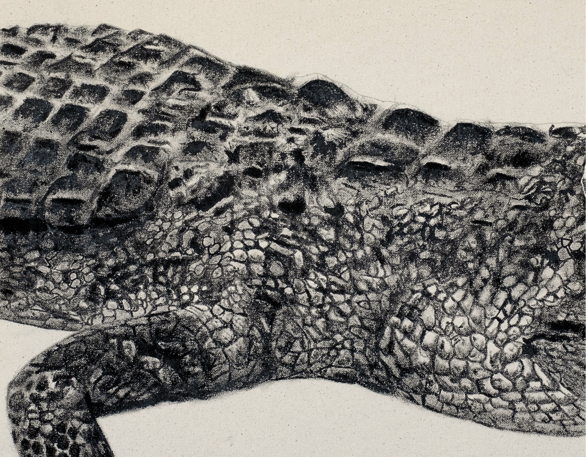 Close-up of a crocodile's textured skin on a beige background
