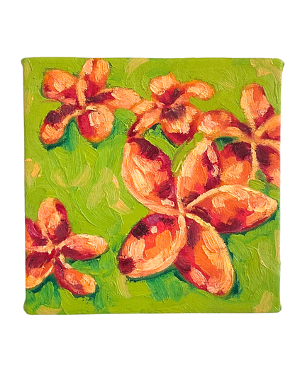 Plumeria.