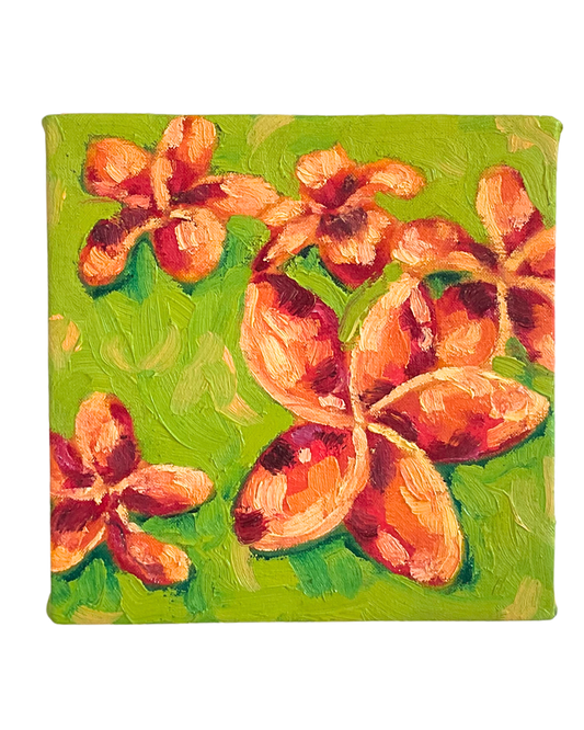 Plumeria.