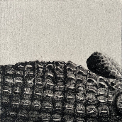 Back - Detail Study