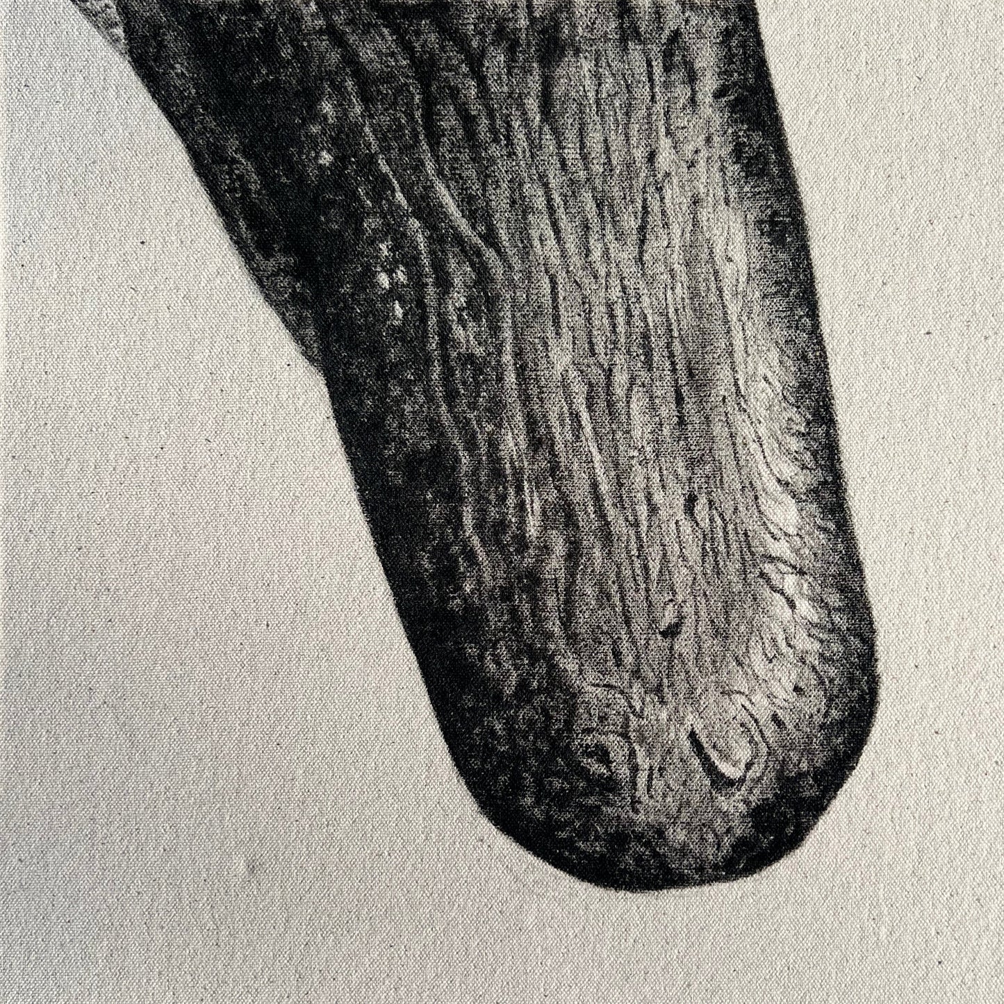 Snout - Detail Study