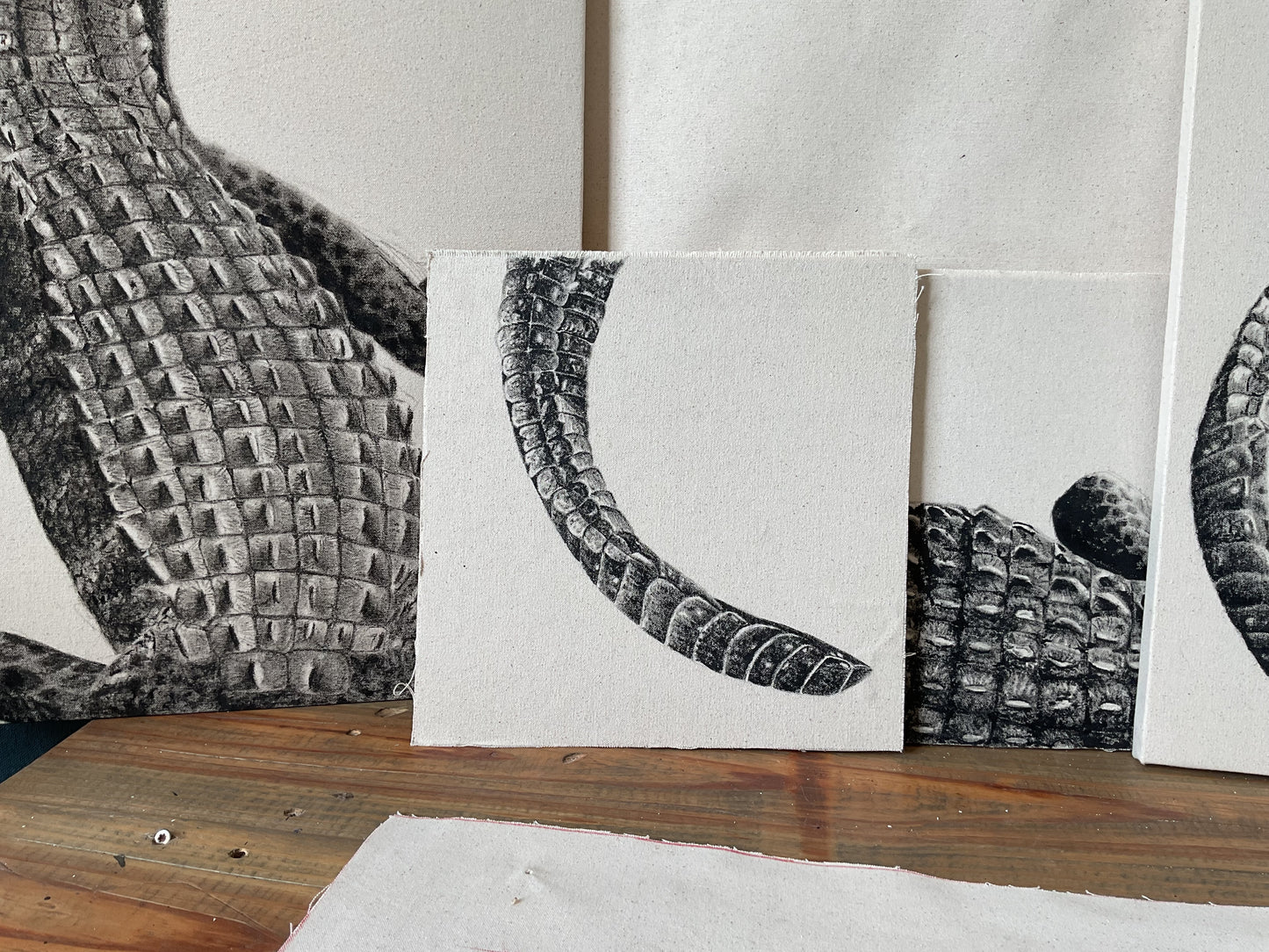 Tail - Detail Study