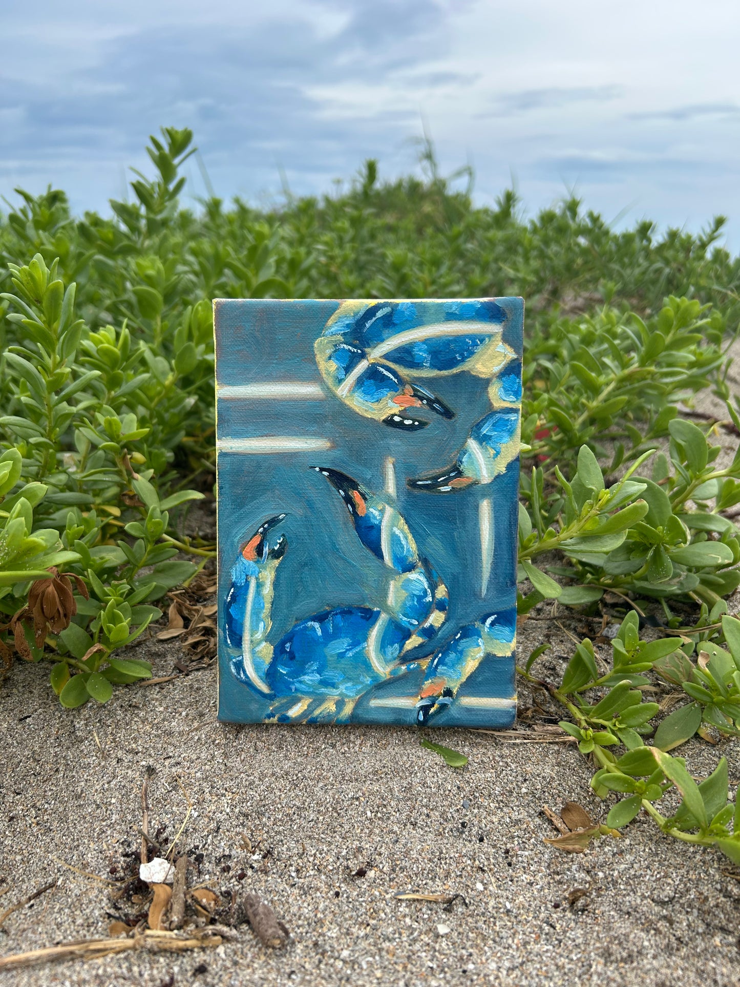 Crab Trap