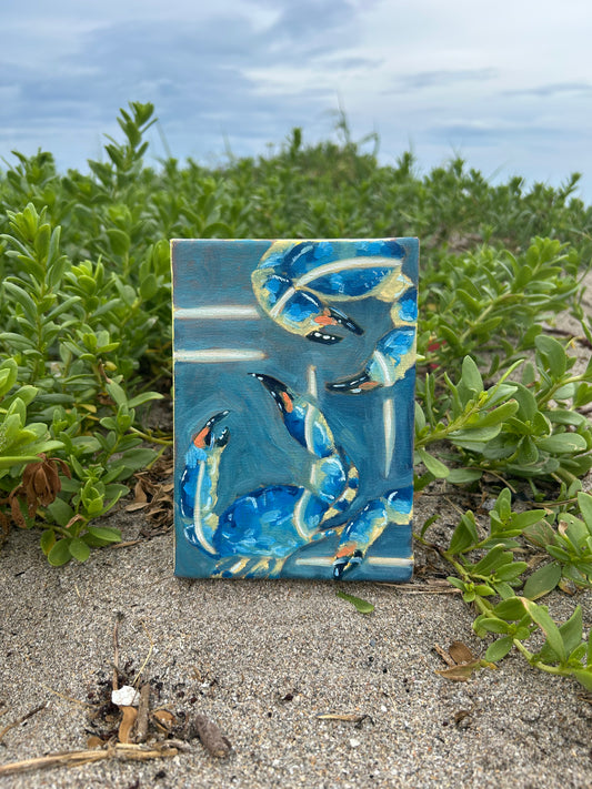 Crab Trap