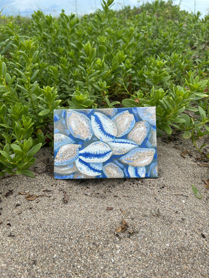 Cowries