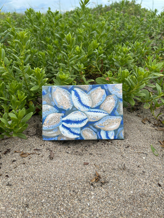 Cowries