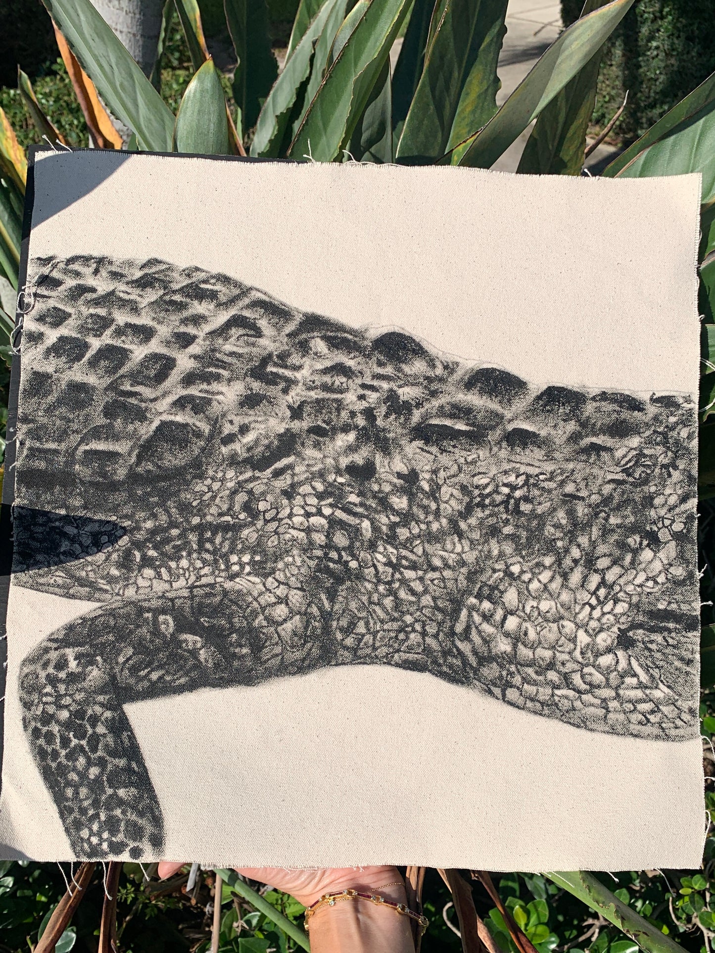 Side - Detail Study