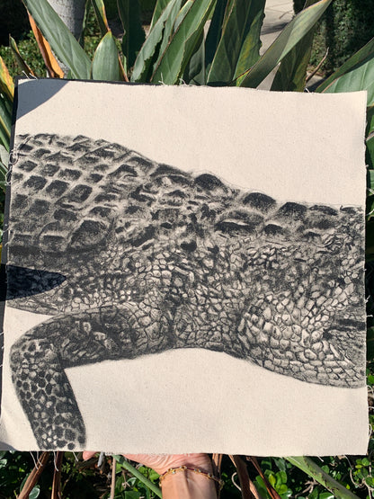 Side - Detail Study