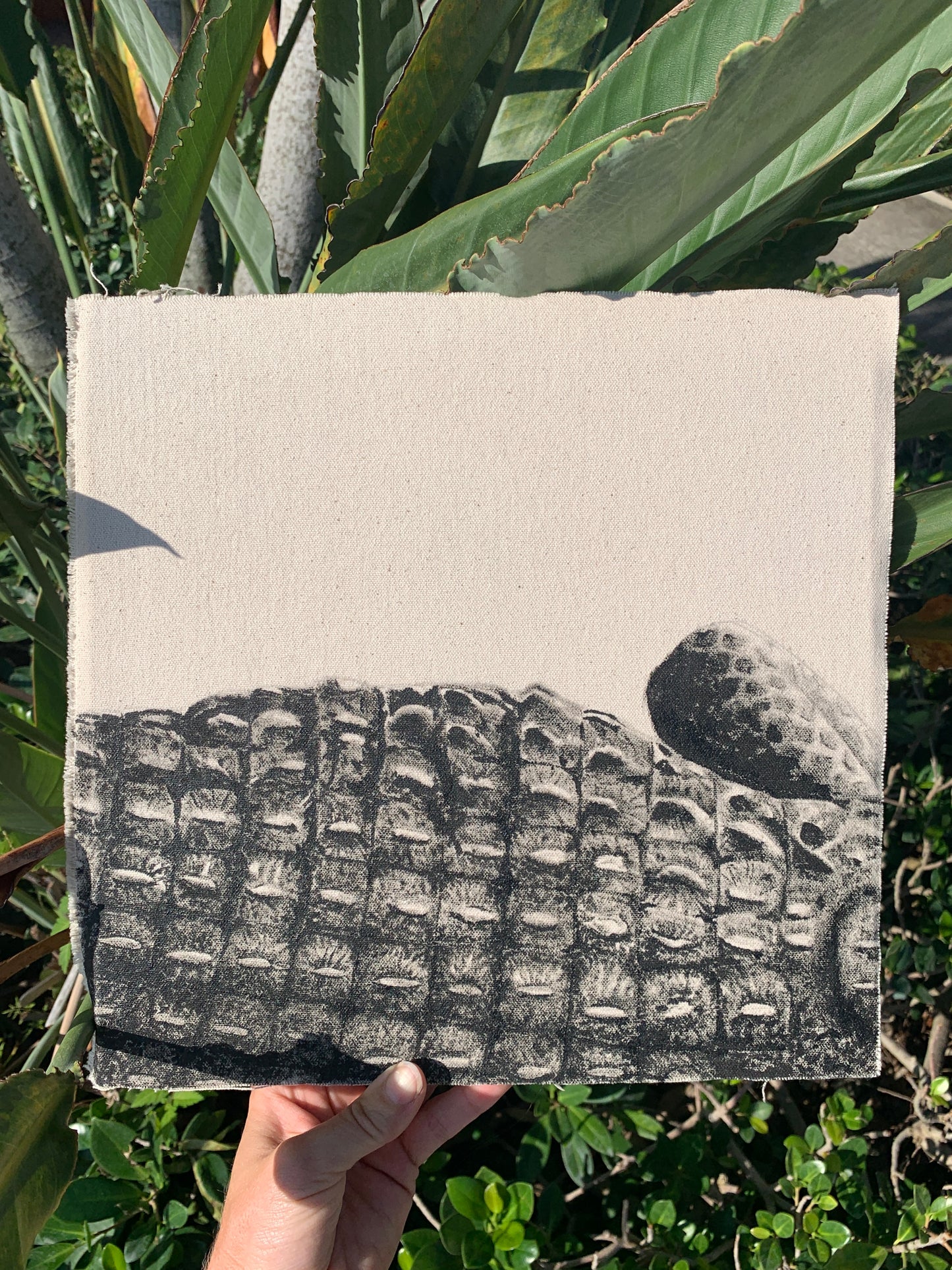 Back - Detail Study