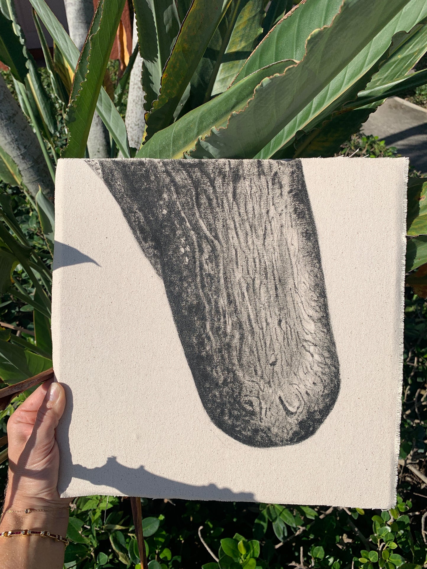 Snout - Detail Study